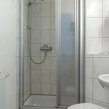 Traube, Ludwigshafen, Bodensee, Seenah Gelegen