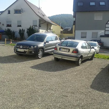 Traube, Ludwigshafen, Bodensee, Seenah Gelegen