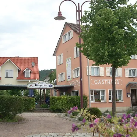Traube, Ludwigshafen, Bodensee, Seenah Gelegen Bodman-Ludwigshafen